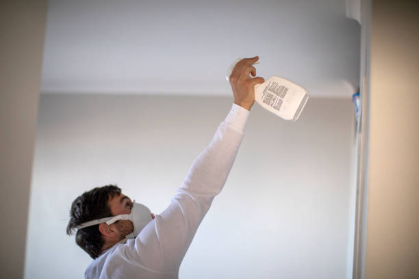 Crawl Space Mold Removal in Oracle, AZ